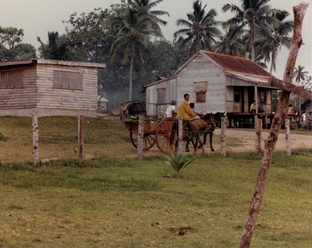 Historic village life in Tonga