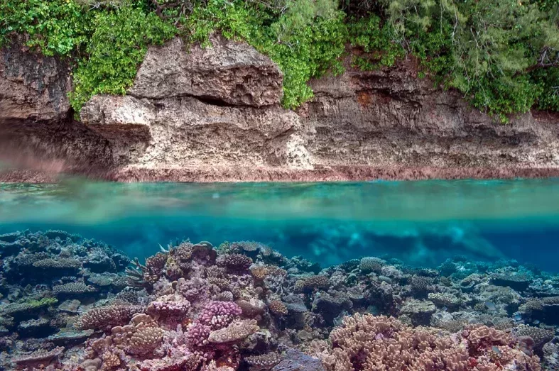 Tonga's coastline above and below the water