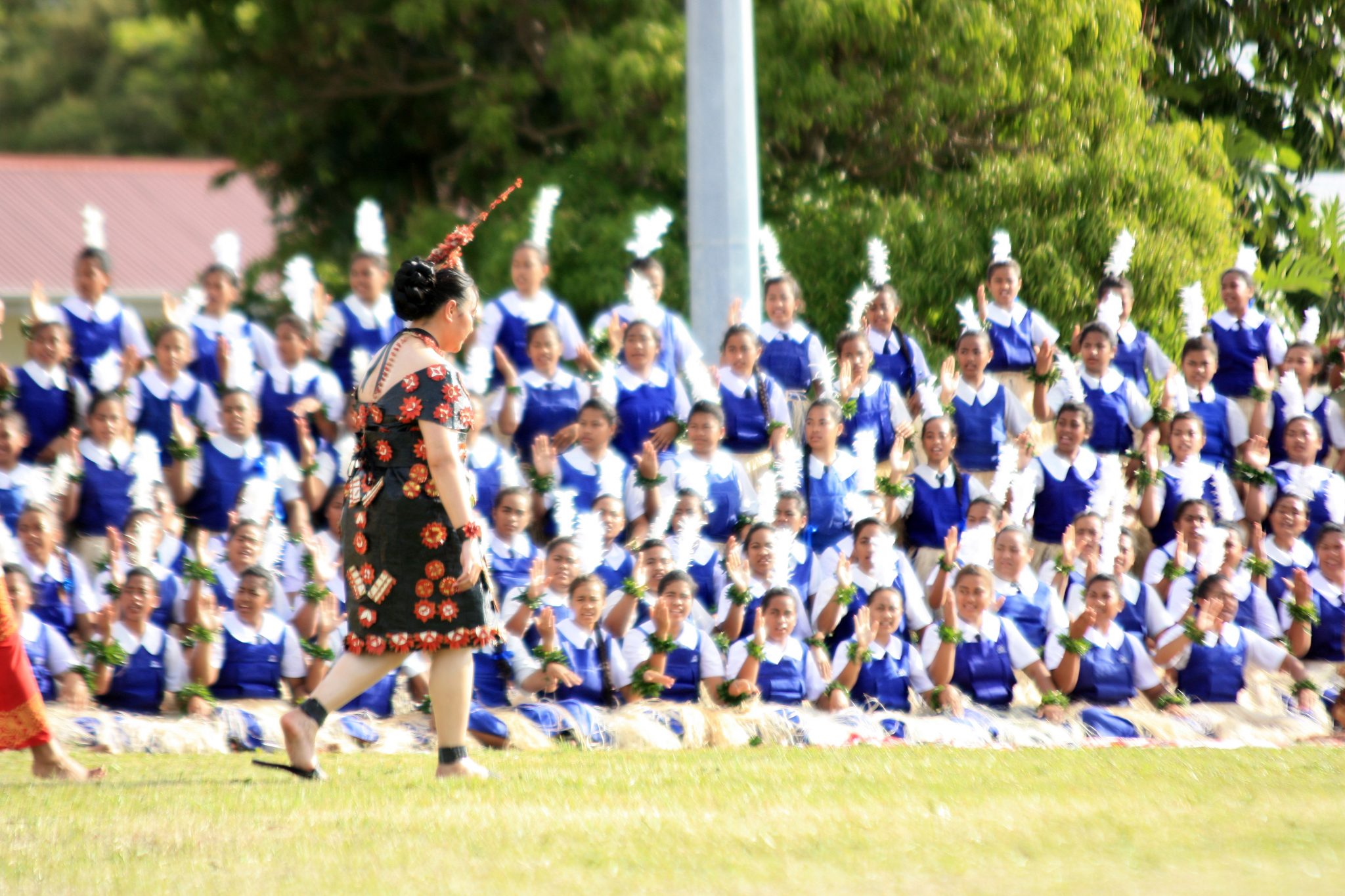 A Tongan cultural celebration